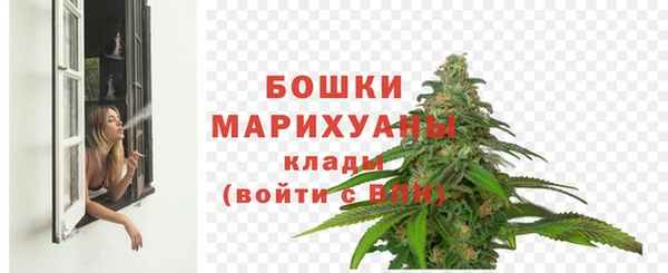 прущие грибы Лихославль