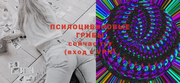 твердый Липки
