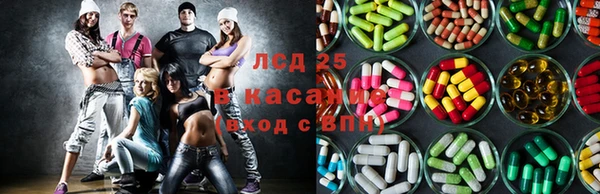 прущие грибы Лихославль
