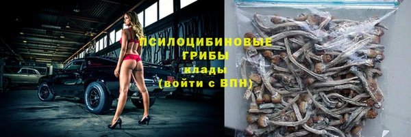 прущие грибы Лихославль