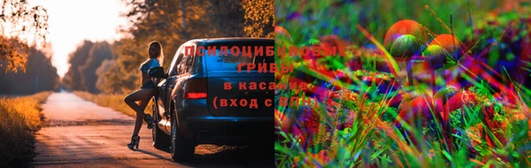 твердый Липки